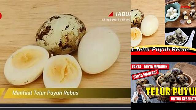 Temukan 8 Manfaat Telur Puyuh Rebus yang Jarang Diketahui