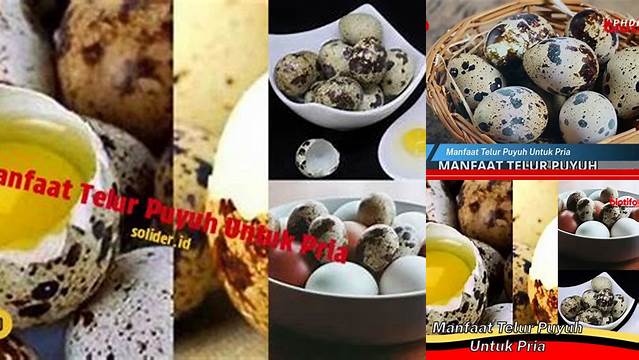 9 Manfaat manfaat telur puyuh untuk pria, Lebih Kuat & Sehat!