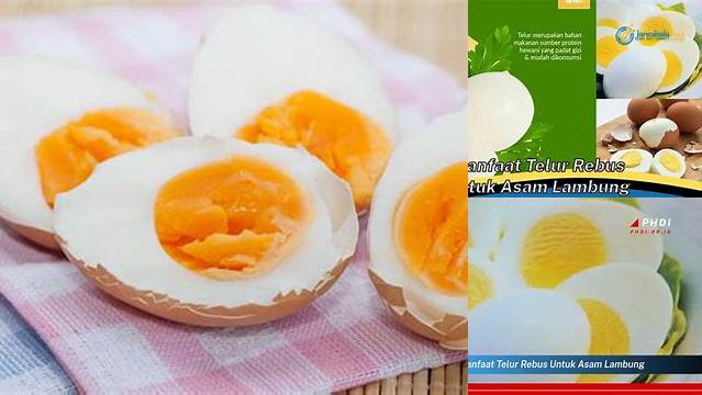 9 Manfaat manfaat telur rebus untuk asam lambung Atasi Mual Alami