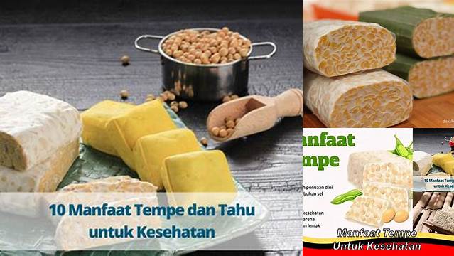 Temukan Manfaat Tempe untuk Kesehatan yang Jarang Diketahui