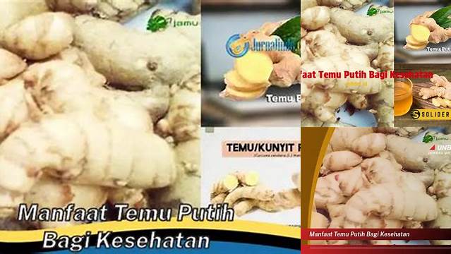 Temukan 9 Manfaat Temu Putih yang Jarang Diketahui untuk Kesehatan!