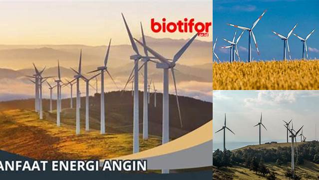 Ditemukan Manfaat Tenaga Angin yang Wajib Anda Ketahui