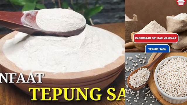 Temukan 8 Manfaat Tepung Sagu yang Jarang Diketahui