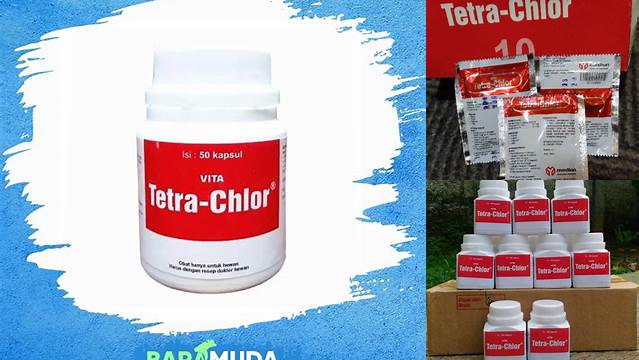 Ungkap Manfaat Tetra Chlor untuk Burung yang Jarang Diketahui