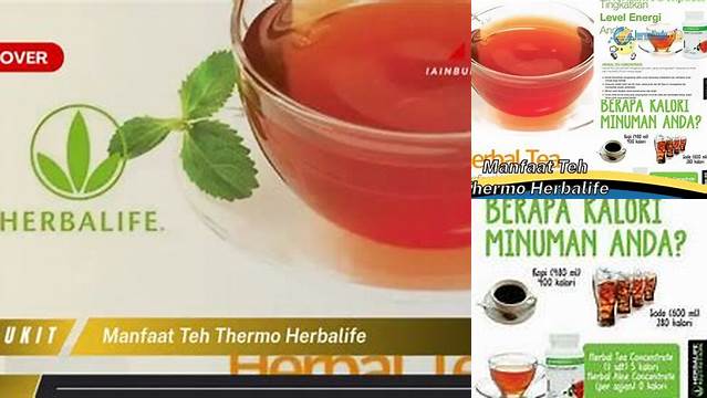 Temukan Khasiat Thermo Herbalife yang Wajib Anda Ketahui