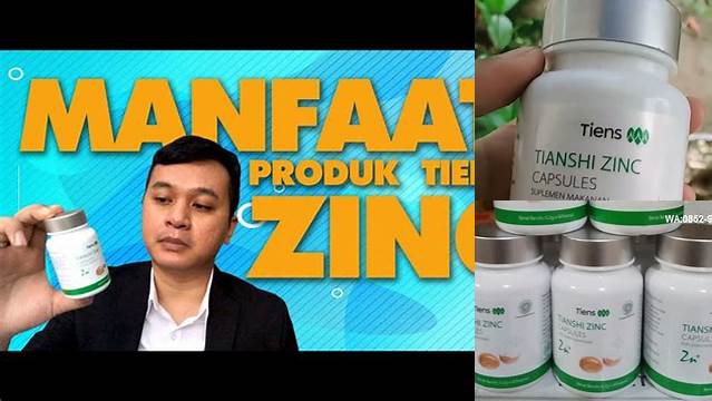 Manfaat TianShi Zinc: Penemuan dan Wawasan yang Perlu Anda Ketahui