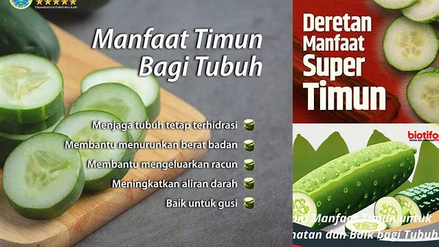Manfaat Timun yang Tak Terduga dan Perlu Kamu Tahu