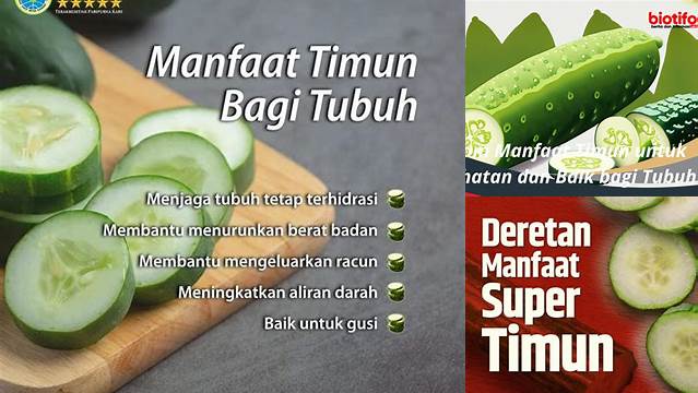 10 Manfaat Timun yang Harus Anda Ketahui