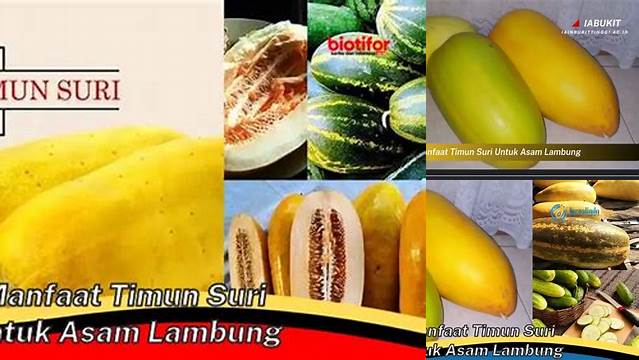 Manfaat Timun Suri untuk Asam Lambung yang Perlu Anda Tahu