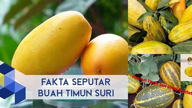 Temukan Manfaat Timun Suri untuk Kesehatan yang Jarang Diketahui