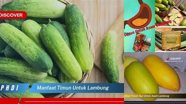 Temukan Manfaat Timun untuk Lambung yang Jarang Diketahui!