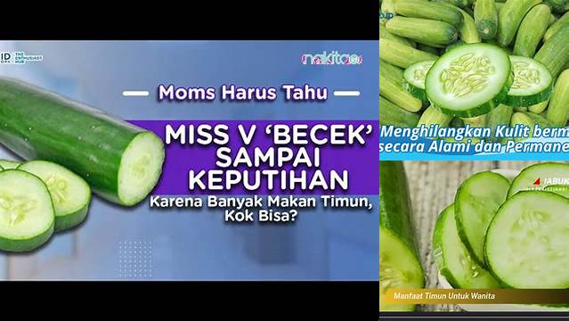 Temukan Manfaat Timun untuk Miss V yang Jarang Diketahui Anda Perlu Tahu