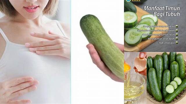 Temukan Manfaat Timun untuk Payudara yang Belum Banyak Diketahui