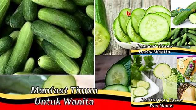 Temukan 7 Manfaat Timun untuk Wanita yang Jarang Diketahui!