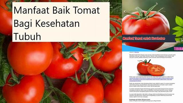 Temukan 10 Manfaat Tomat yang Jarang Diketahui untuk Kesehatan Anda!