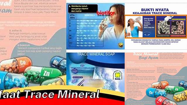 Temukan Manfaat Trace Mineral yang Sangat Berguna, Jarang Diketahui