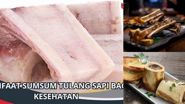 10 Rahasia Manfaat Tulang Sapi yang Jarang Diketahui