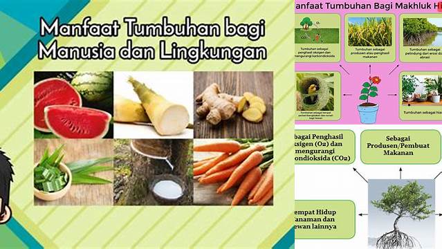 Temukan Manfaat Langka Tumbuhan yang Jarang Diketahui untuk Manusia dan Lingkungan