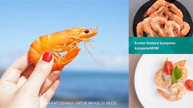 Manfaat Udang untuk MPASI: Temuan dan Wawasan yang Wajib Diketahui