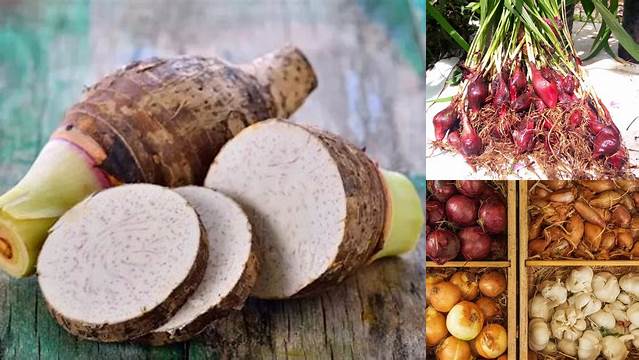 Temukan 6 Manfaat Umbi Lapis yang Jarang Diketahui