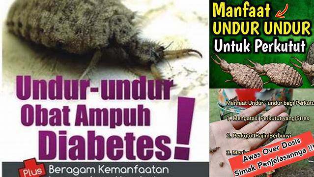 Temukan Manfaat Undur-Undur untuk Pria yang Jarang Diketahui