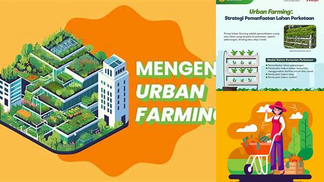 Temukan Manfaat Urban Farming Yang Jarang Diketahui