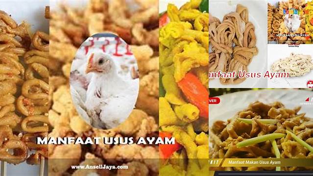 Temukan Manfaat Usus Ayam yang Perlu Anda Tahu