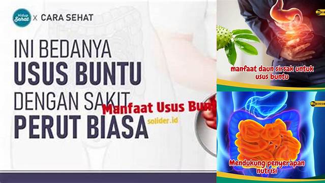 Temukan Manfaat Usus Buntu yang Jarang Diketahui, Anda Pasti Tertarik!