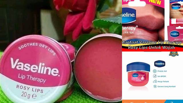 Temukan 9 Manfaat Vaseline Rosy Lips yang Jarang Diketahui