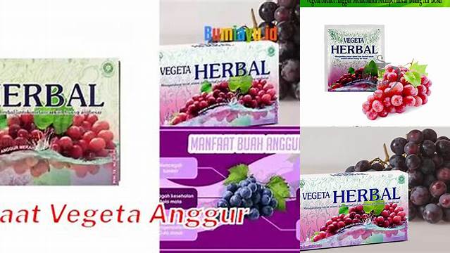 Manfaat Vegeta Anggur: Penemuan Langka yang Perlu Anda Ketahui