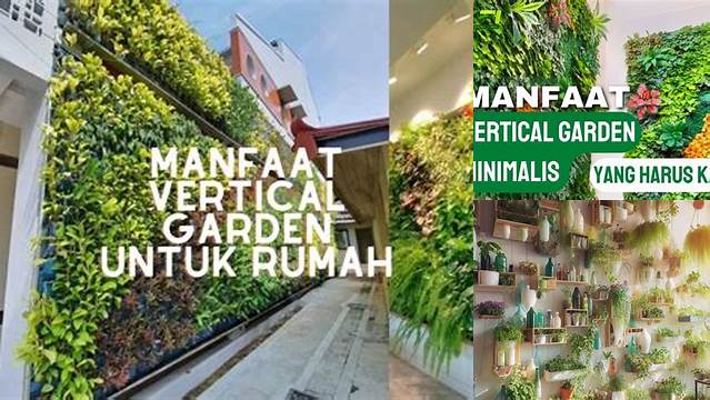 Temukan Manfaat Vertical Garden yang Belum Kamu Ketahui