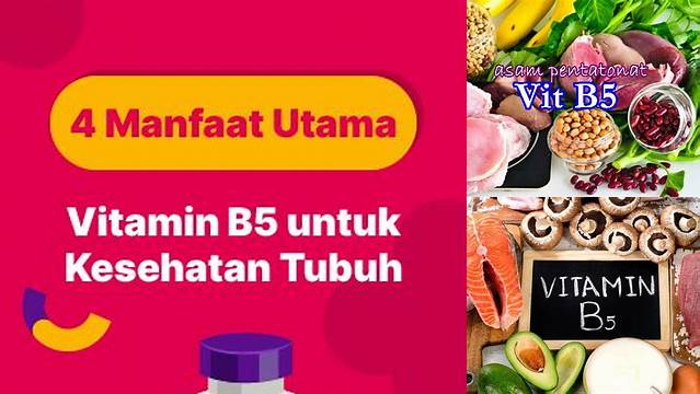 12 Manfaat Vitamin B5 yang Jarang Diketahui dan Penting untuk Kesehatan Anda