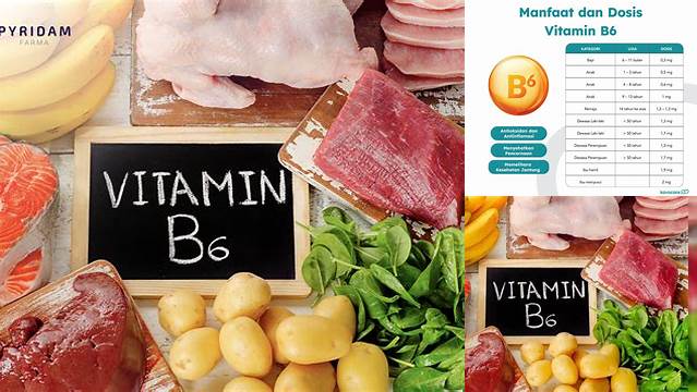 Ungkap 6 Manfaat Vitamin B6 untuk Ibu Hamil yang Jarang Diketahui