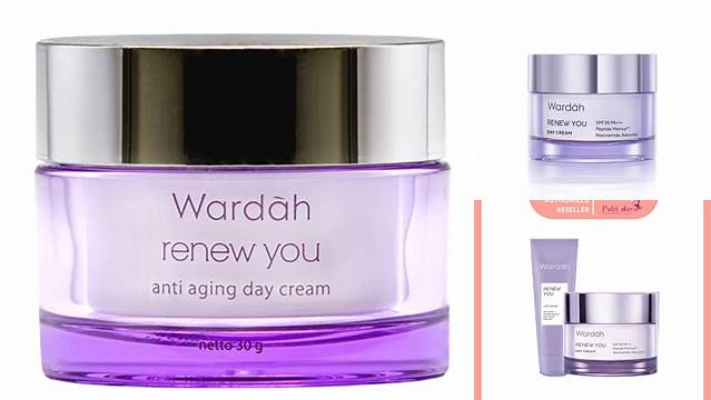 Manfaat Wardah Renew You Day Cream Wajib Kamu Tahu!