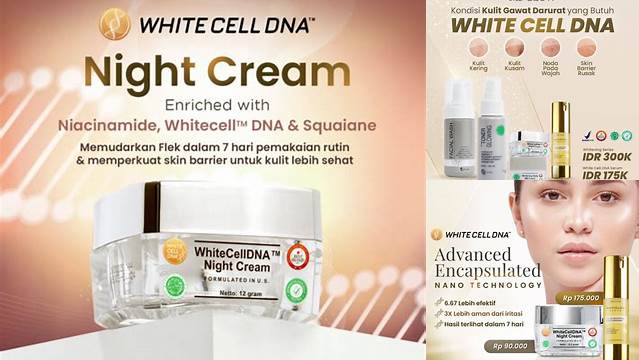 Kupas Tuntas Manfaat White Cell DNA MS Glow yang Jarang Diketahui