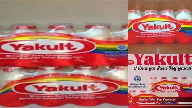 Manfaat Yakult Bagi Kesehatan yang Jarang Diketahui, Wajib Tahu!