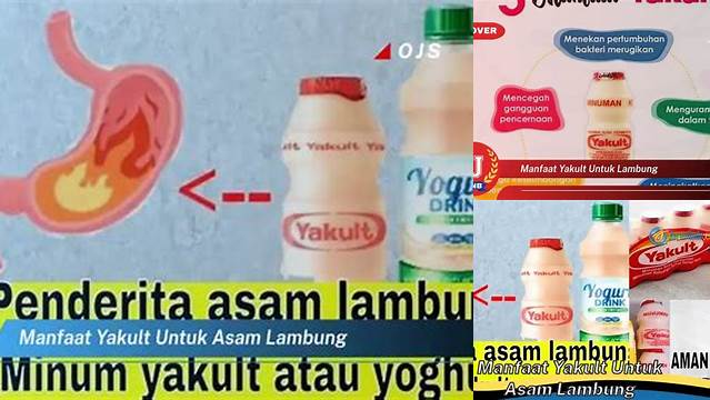 Temukan 5 Manfaat Yakult Bagi Lambung yang Jarang Diketahui