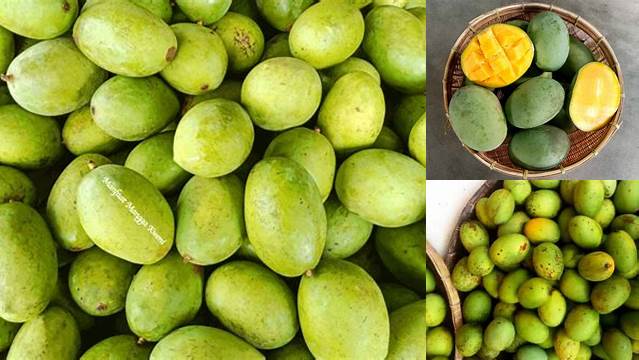 Temukan Manfaat Mangga Kweni yang Jarang Diketahui