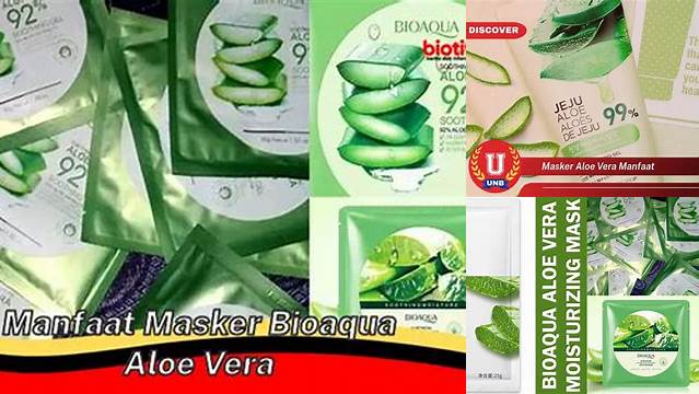 Manfaat Masker Aloe Vera yang Jarang Diketahui yang Harus Anda Tahu