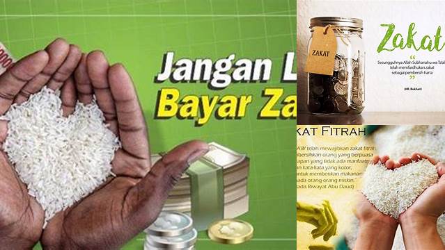 Membayar Zakat Untuk Membersihkan Diri Dan