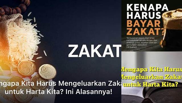 Mengapa Kita Harus Mengeluarkan Zakat