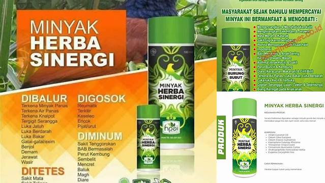 Manfaat Mengejutkan dari Minyak Herbal Sinergi yang Jarang Diketahui