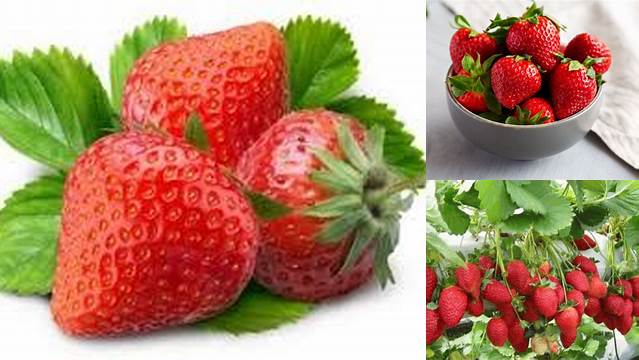 Temukan 8 Manfaat Stroberi yang Jarang Diketahui