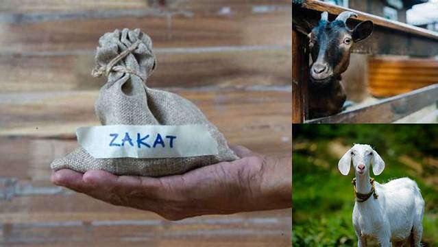 Nisab Zakat Kambing