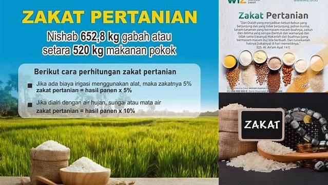 Nisab Zakat Pertanian Adalah