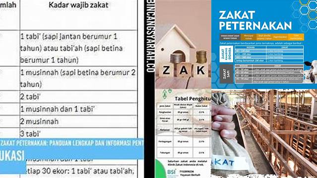 Nisab Zakat Peternakan