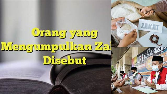 Orang Yang Mengumpulkan Zakat Disebut