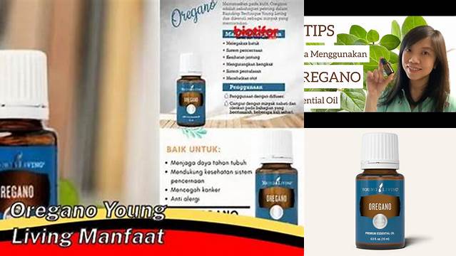 Temukan 7 Manfaat Oregano Young Living yang Mengejutkan
