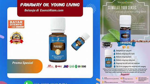 Temukan 8 Manfaat Panaway Young Living yang Jarang Diketahui yang Perlu Anda Tahu