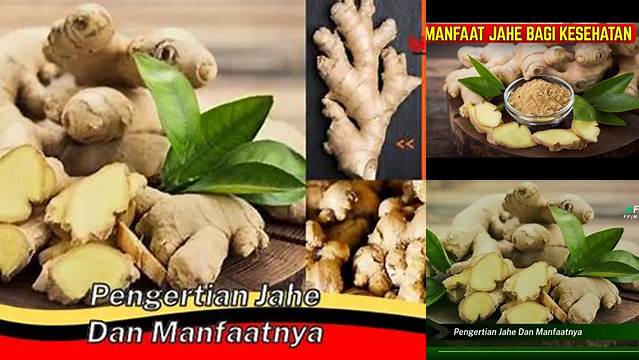Temukan Manfaat Jahe untuk Kesehatan yang Anda Perlu Tahu